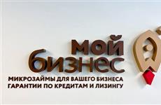 В Удмуртии ветеранам и предприятиям, обеспечивающим нужды СВО, выделили более 190 млн руб. 