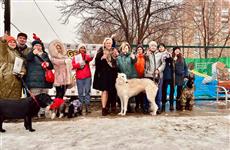 На пр. Карла Маркса в Самаре открылась площадка для выгула собак