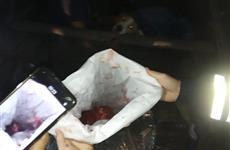 В Елховском районе Самарской области задержаны несколько браконьеров