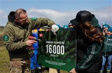 В Уфе высадили 16 тыс. деревьев