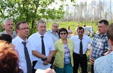 Депутаты настаивают на срочных мерах по спасению и сохранению городских лесов