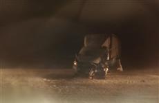 Из-за сильного ветра в Сызранском районе "Газель" врезалась в фуру