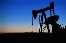 Структура "Роснефти" получила нефтеносный участок в Борском районе