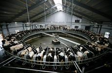 Оренбургским аграриям выделено более 100 млн руб. на субсидирование займов