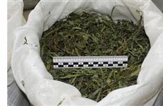 На жителя Клявлинского района заведено дело за хранение более 1 кг марихуаны