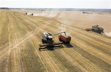 Пензенская область за три года в 3 раза увеличила площади застрахованных посевов