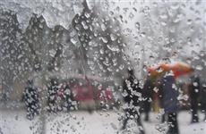 В конце рабочей недели в регионе будет -1°C, дождь со снегом и туман