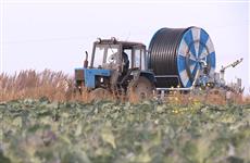 Нижегородская область рассчитывает в 2021 г. привлечь на развитие фермерства в два раза больше федеральных субсидий