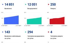 В Самарской области от коронавируса умерло 250 человек