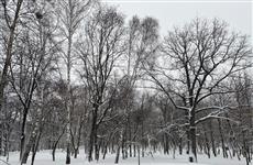 В 2026 г. Башкортостан получит в рамках федерального проекта "Сохранение лесов" 278 млн рублей