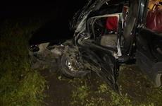 В ДТП в Ставропольском районе пострадали женщина и младенец