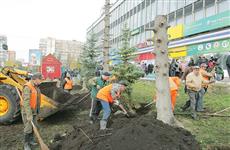 Законность посадки елей возле ЦУМа «Самара» доказана судом