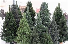 Выбираем искусственную новогоднюю елку в "Космопорте"