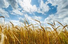 В Оренбургской области создан штаб по проведению весенне-полевых работ 