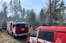 В Тольятти горел 1 гектар леса