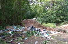 Самарцы сообщили в минлесхоз об очередной свалке в "Самарской Луке"