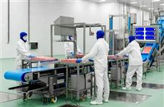 "Дамате" инвестирует более 1,3 млрд руб. в модернизацию пензенского завода по переработке индейки