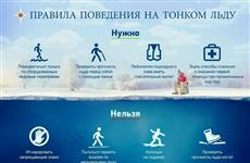 МЧС напоминает об опасности выхода на тонкий лед