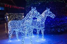 Конокрады "отметились" на Центральной площади Тольятти