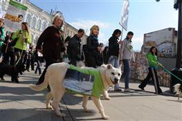 Акция в защиту животных «Россия без жестокости»