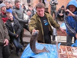Сезон подводной охоты под Тольятти открыли рекордными трофеями