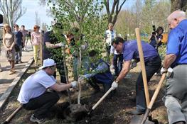 Дмитрий Азаров, Александр Фетисов и Александр Хинштейн сажали деревья в парках города 