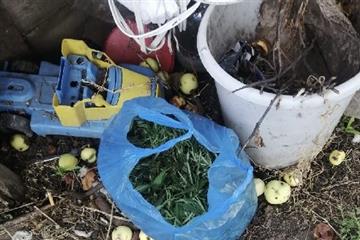 Неравнодушные граждане "сдали" хранившего коноплю сельчанина из Самарской области
