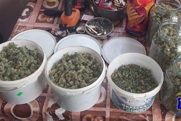 Под Тольятти задержали наркосадовода