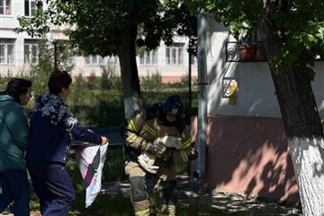 Министерство добра: спасатели МЧС сняли с дерева кота в Тольятти