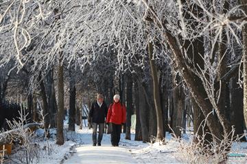 Появился прогноз погоды на зиму в Самарской области