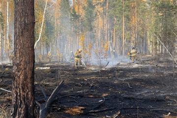 В лесничестве под Самарой 189 человек тушат крупный пожар