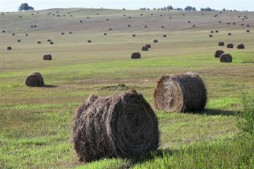 Самарский арбитраж вынес новое решение по участкам племзавода 