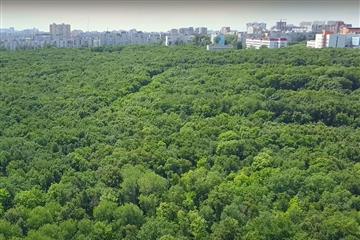 Самарцы одобрили запрет на застройку парка им. 60-летия Советской власти