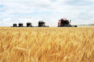 2022 год войдет в историю самарского АПК как один из самых урожайных