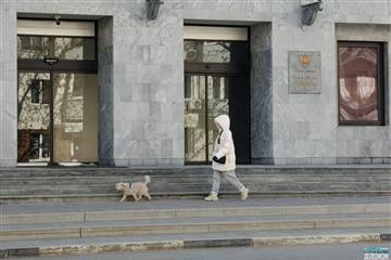 Самарцев обязали регистрировать домашних животных