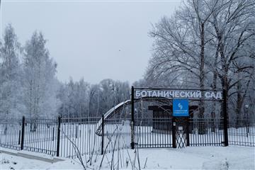 Ботанический сад Самарского университета им. Королева закрывается на зимние каникулы