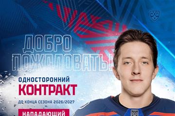 Состав хоккейной
