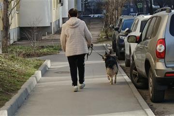 Жителей Самарской области обязали убирать фекалии за своими собаками