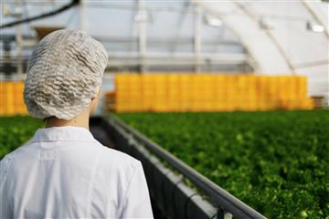 В Самарской области первые участники проекта 