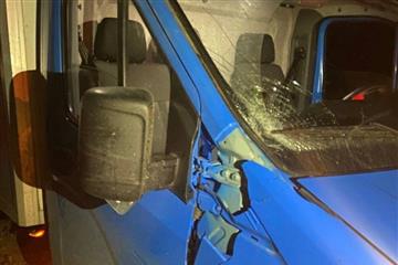Водитель "Газели" сбил пешехода на трассе в Самарской области