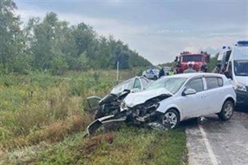 В ДТП на территории Большеглушицкого района пострадали два человека