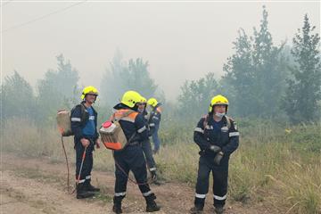 Пожар в Тольятти связывают с поджогом