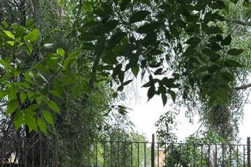 За один день - от хлама к порядку: субботник на Вольской