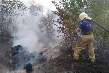 Пожар в Тольятти: огонь охватил 35 гектаров