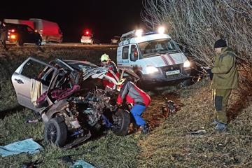 На трассе М-5 в ДТП с грузовиком погиб водитель легковушки