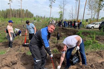 "КуйбышевАзот" продолжает восстанавливать зеленые легкие Тольятти