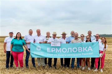 Озимая пшеница 