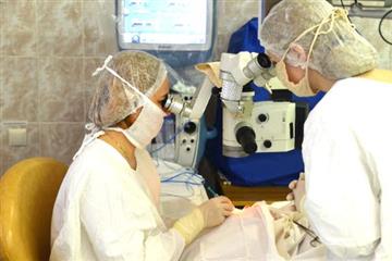 Самарские врачи спасли пациента с крупной веткой, проткнувшей глаз