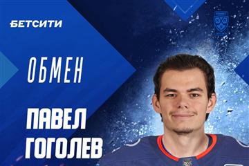 Состав хоккейной