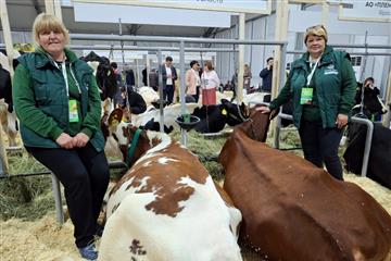 Вестница и Анкета племенного завода 